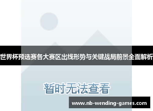 世界杯预选赛各大赛区出线形势与关键战局前景全面解析