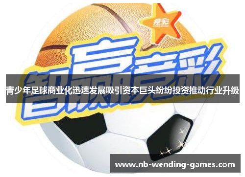 青少年足球商业化迅速发展吸引资本巨头纷纷投资推动行业升级 青少年足球商业化迅速发展吸引资本巨头纷纷投资推动行业升级